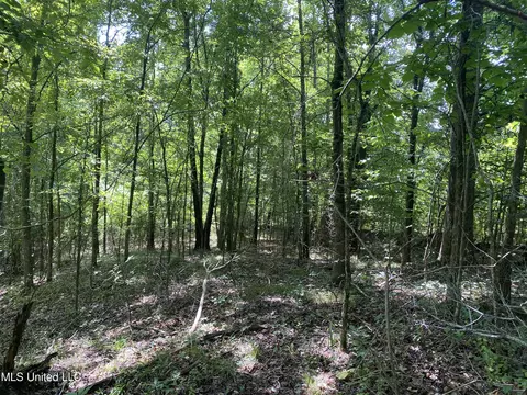 0 Summer Oak Dr, Lamar, MS 38642 photo 6