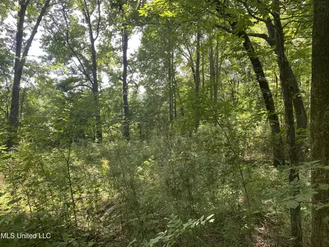 0 Summer Oak Dr, Lamar, MS 38642 photo 11