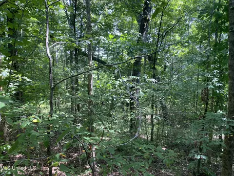 0 Summer Oak Dr, Lamar, MS 38642 photo 8