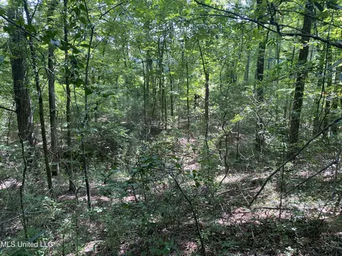 0 Summer Oak Dr, Lamar, MS 38642 photo 18