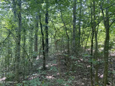 0 Summer Oak Dr, Lamar, MS 38642 photo 7