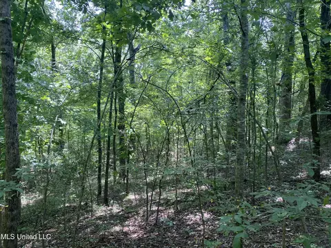 0 Summer Oak Dr, Lamar, MS 38642 photo 9
