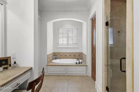 Bath - 133 Bristol Dr, Madison, MS 39110 photo 3 of 6