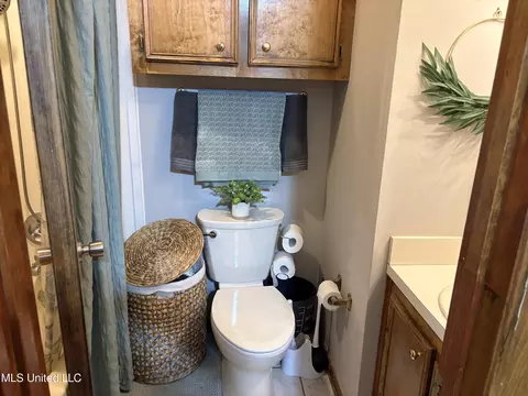 Bath - 420 Vining Ct, Byram, MS 39272 photo 3 of 3