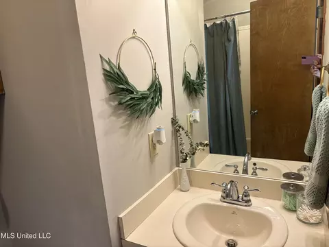 Bath - 420 Vining Ct, Byram, MS 39272 photo 2 of 3