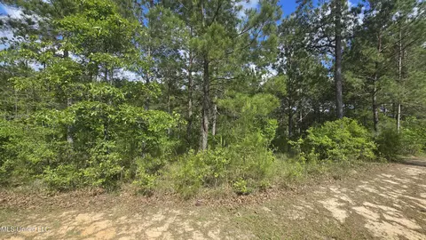 Mellie Lane, Leakesville, MS 39451