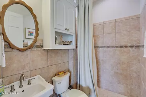 Bath - 205 Audubon Point Dr, Brandon, MS 39047 photo 1 of 8
