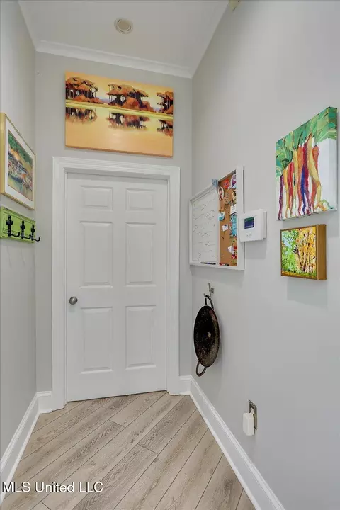 Entry Way - 205 Audubon Point Dr, Brandon, MS 39047 photo 6 of 9