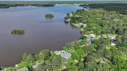 View/Area - 205 Audubon Point Dr, Brandon, MS 39047 photo 13 of 20