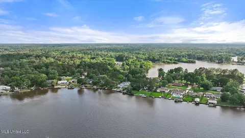 View/Area - 205 Audubon Point Dr, Brandon, MS 39047 photo 17 of 20