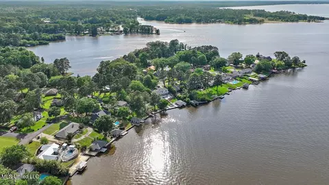 View/Area - 205 Audubon Point Dr, Brandon, MS 39047 photo 14 of 20