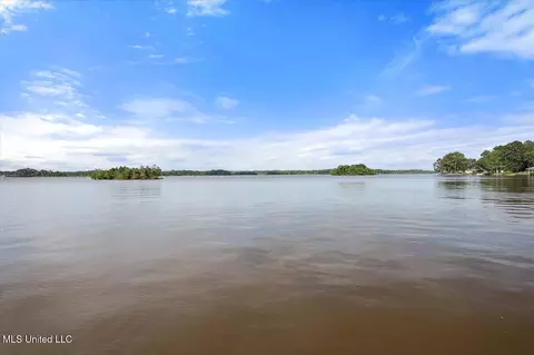 View/Area - 205 Audubon Point Dr, Brandon, MS 39047 photo 7 of 20