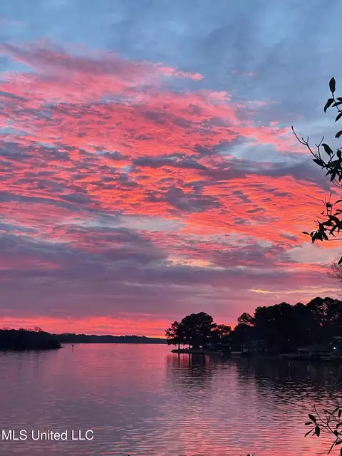 View/Area - 205 Audubon Point Dr, Brandon, MS 39047 photo 20 of 20