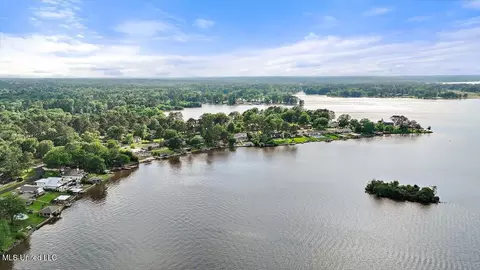 View/Area - 205 Audubon Point Dr, Brandon, MS 39047 photo 18 of 20