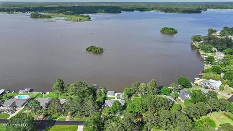 View/Area - 205 Audubon Point Dr, Brandon, MS 39047 photo 12 of 20