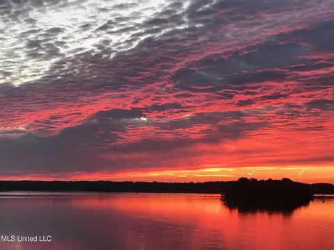 View/Area - 205 Audubon Point Dr, Brandon, MS 39047 photo 19 of 20