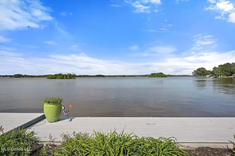 View/Area - 205 Audubon Point Dr, Brandon, MS 39047 photo 6 of 20
