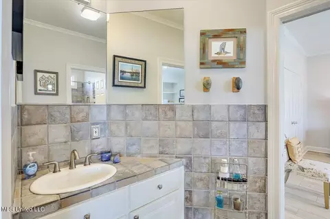 Bath - 205 Audubon Point Dr, Brandon, MS 39047 photo 7 of 8