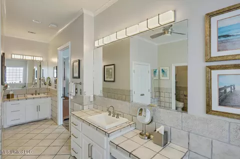 Bath - 205 Audubon Point Dr, Brandon, MS 39047 photo 3 of 8