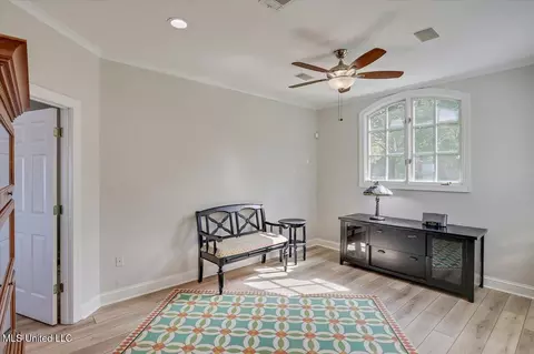 Other - 205 Audubon Point Dr, Brandon, MS 39047 photo 11 of 29