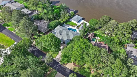 View/Area - 205 Audubon Point Dr, Brandon, MS 39047 photo 10 of 20