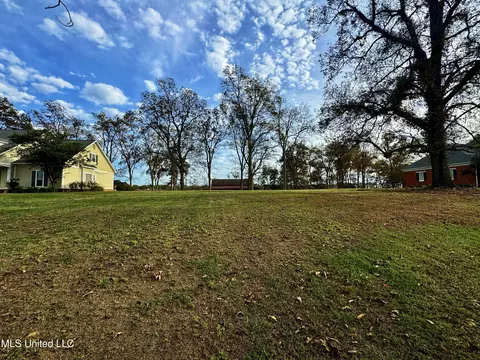 7 Yazoo Pass Dr, Dundee, MS 38626 photo 13
