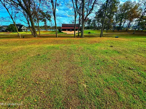 7 Yazoo Pass Dr, Dundee, MS 38626 photo 4