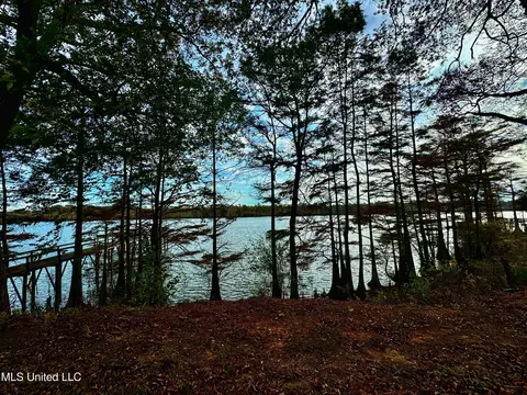 7 Yazoo Pass Dr, Dundee, MS 38626 photo 10