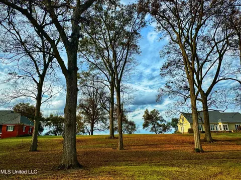 7 Yazoo Pass Dr, Dundee, MS 38626 photo 9