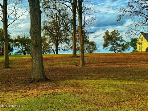7 Yazoo Pass Dr, Dundee, MS 38626 photo 2