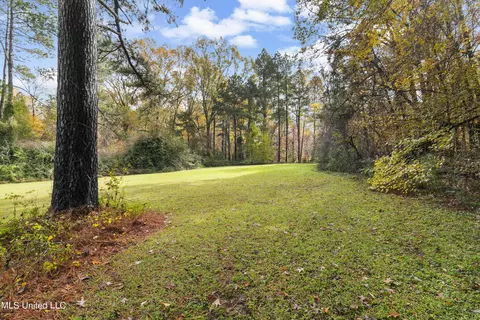 Exterior - 305 Hand Dr, Flowood, MS 39232 photo 28 of 31