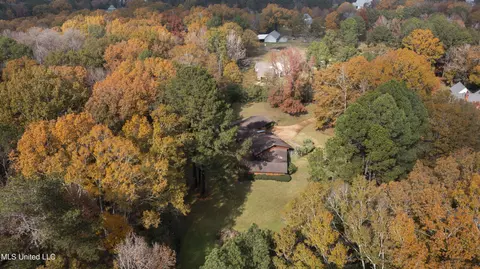 Other - 305 Hand Dr, Flowood, MS 39232 photo 19 of 20