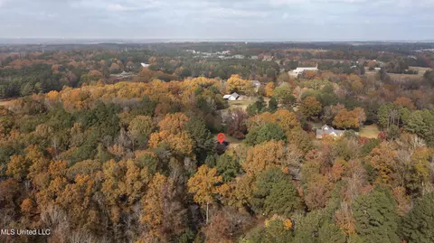 View/Area - 305 Hand Dr, Flowood, MS 39232 photo 1 of 1