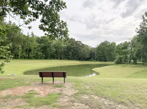 View/Area - 3453 Kreunen St, Nesbit, MS 38651 photo 1 of 1