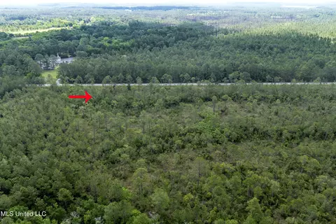 Sarcennia Road, Moss Point, MS 39563 photo 3