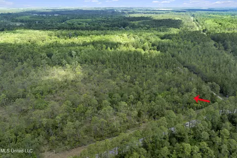 Sarcennia Road, Moss Point, MS 39563 photo 6