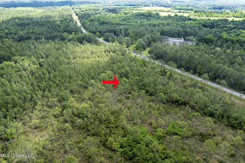 Sarcennia Road, Moss Point, MS 39563 photo 4
