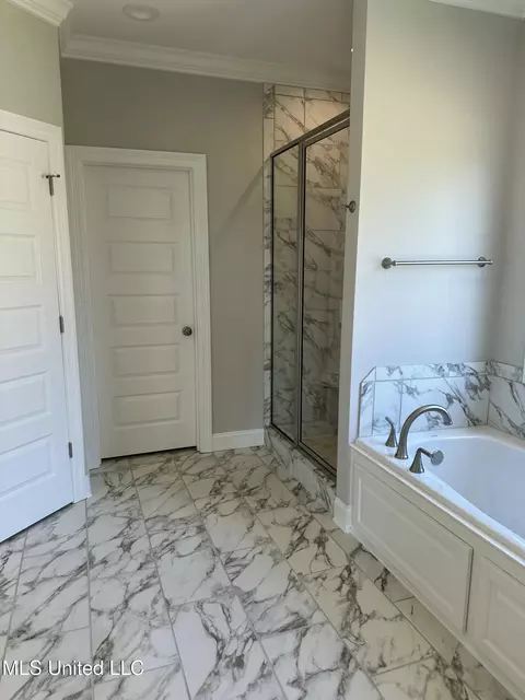 Bath - 460 Aurora Cir, Canton, MS 39046 photo 2 of 6
