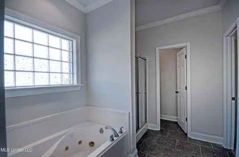 Bath - 508 Jasmine Ct, Brandon, MS 39047 photo 2 of 4