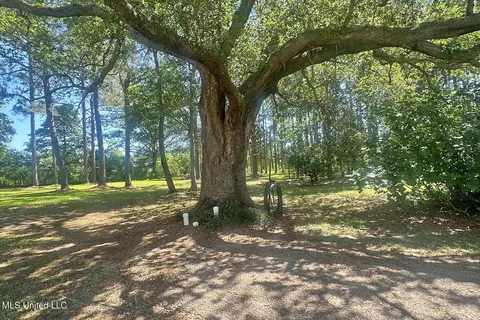 Exterior - 1212 Highway 612, Lucedale, MS 39452 photo 10 of 13