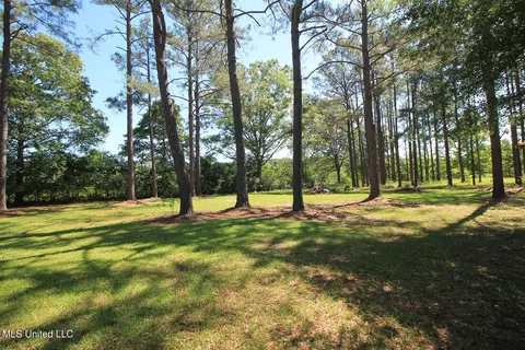 Exterior - 1212 Highway 612, Lucedale, MS 39452 photo 11 of 13