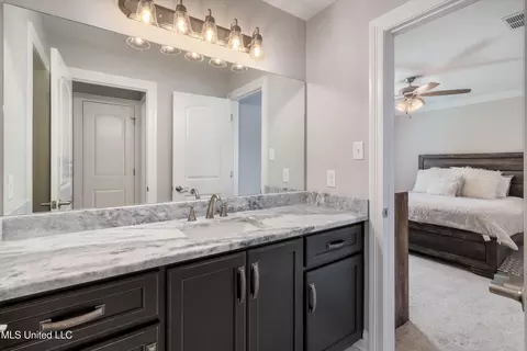 Bath - 4624 E Bakers Trl, Nesbit, MS 38651 photo 5 of 6