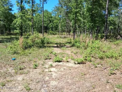 0 Ben Pierce, Lucedale, MS 39452 photo 7
