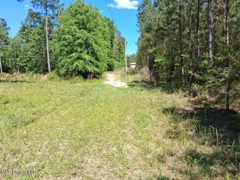 0 Ben Pierce, Lucedale, MS 39452 photo 4
