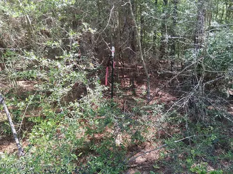 0 Ben Pierce, Lucedale, MS 39452 photo 13