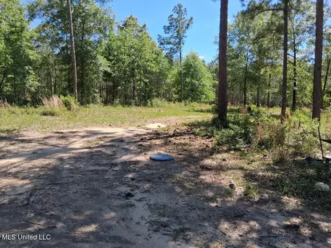 0 Ben Pierce, Lucedale, MS 39452 photo 9