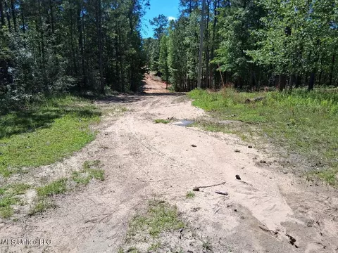 0 Ben Pierce, Lucedale, MS 39452 photo 11