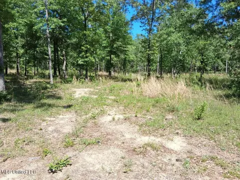 0 Ben Pierce, Lucedale, MS 39452 photo 19