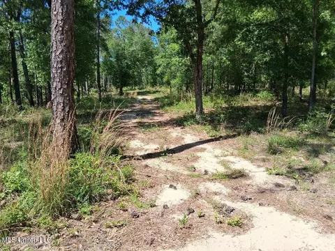 0 Ben Pierce, Lucedale, MS 39452 photo 2