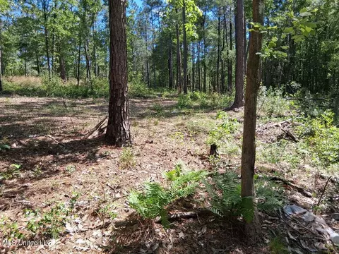 0 Ben Pierce, Lucedale, MS 39452 photo 18